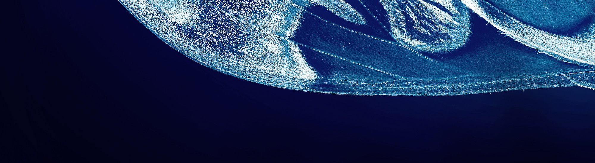 Medical professionals